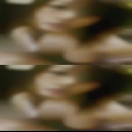 Hot women Freer