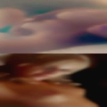 Vagina